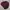 GAP Casual Sweatshirt Pria burgundy photo 5