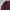 GAP Casual Sweatshirt Pria burgundy photo 2