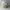 Kangol Vintage Luxury Hat Pria white photo 5