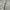 Topten Casual Sweatshirt Pria multicolor photo 2