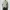 Topten Casual Sweatshirt Pria multicolor photo 6