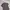 Zara Vintage Streetwear Formal shirt Pria tan photo 2