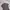 Zara Vintage Streetwear Formal Shirt Pria Tan