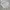 Casual Sweatshirt Pria white photo 2