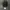 Biber Realtree Camo Lamp photo 7