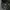 Biber Realtree Camo Lamp photo 4