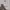 Japanese brand Streetwear Hoody Pria gray photo 1