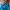 Casual Sweatshirt Pria blue photo 4