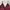 Coquette Casual Casual dress Wanita burgundy black photo 6