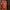 Covernat Casual Sweatshirt Pria orange photo 2