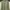 Minimalist Casual Sweatshirt Pria green photo 1