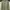 Minimalist Casual Sweatshirt Pria Green