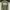 Minimalist Casual Sweatshirt Pria green photo 2