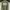 Minimalist Casual Sweatshirt Pria Green