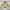 Streetwear Hoody Pria multicolor photo 2