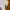 Acne Studios Y2K Luxury T-shirt Pria white photo 5
