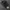 CACC Realtree Camo photo 1