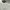 Harley Davidson Biker Sportswear T-shirt Pria white black photo 2