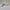 Burberry Luxury Casual Track jacket Pria white photo 4