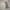 Burberry Luxury Casual Track jacket Pria white photo 2