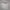 Burberry Luxury Casual Track jacket Pria white photo 1