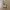 Coach Vintage Streetwear Crossbody Bag Wanita tan photo 1