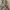 Coach Vintage Streetwear Crossbody Bag Wanita tan photo 8