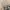 Coach Vintage Streetwear Crossbody Bag Wanita tan photo 5
