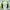 Streetwear Sportswear Windbreaker Pria multicolor photo 2