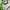 Streetwear Sportswear Windbreaker Pria multicolor photo 3