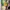 Marc Jacobs Casual Bags & purse Wanita yellow photo 5