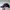 47 Brand Minimalist Casual Hat Wanita blue photo 3