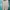 Casual Formal shirt Pria tan photo 1