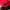 Balenciaga Luxury Casual Sweater Pria red photo 6