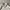 Streetwear Casual Varsity jacket Pria white photo 4