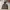 Streetwear Gorpcore Track jacket Pria brown photo 2