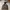 Streetwear Gorpcore Track Jacket Pria Brown