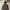Streetwear Gorpcore Track Jacket Pria Brown