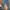 Pull & Bear Casual Jeans Pria Blue