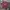 Hummel Streetwear Sportswear Jersey Pria multicolor photo 1