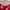 Lacoste Sportswear Casual Mini skirt Wanita red photo 4