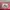 Lacoste Sportswear Casual Mini skirt Wanita red photo 5