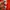 C.P. Company Casual Vest Pria red photo 4