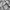 Oakley Gorpcore Puffer jacket Pria gray photo 1