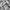 Oakley Gorpcore Puffer Jacket Pria Gray
