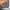Oakley Gorpcore Puffer jacket Pria gray photo 6
