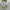 Billabong Casual Hoody Pria white photo 5