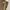 Adidas Streetwear Sportswear Tracksuit Pria brown photo 2