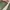 Uniqlo Gorpcore Sportswear Tracksuit Pria green photo 7