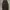 Japanese brand Vintage Y2K Jeans Pria brown photo 1